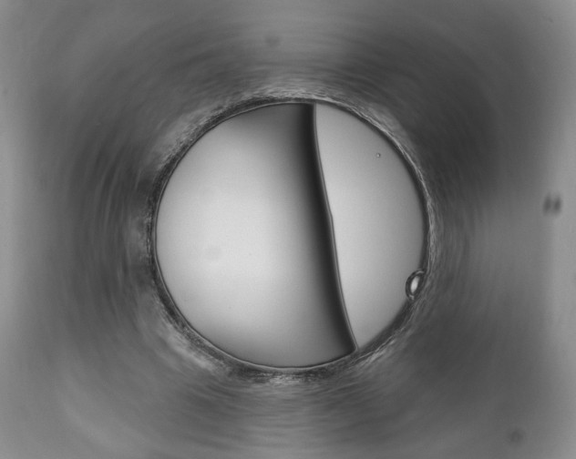 X0000111170441200907011012