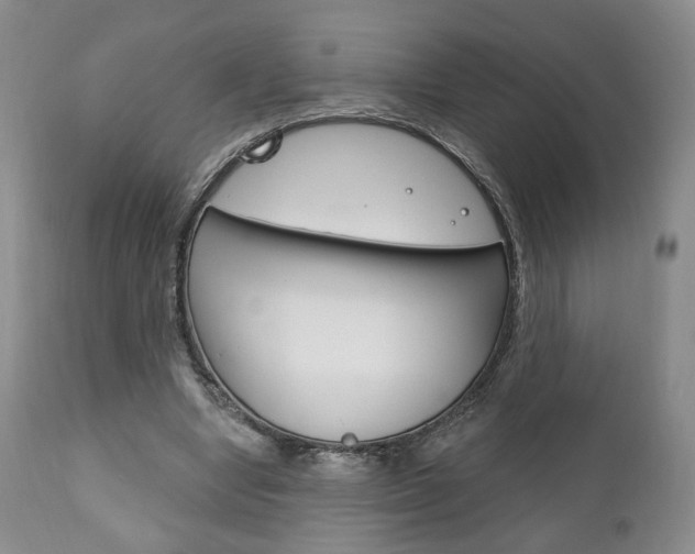 X0000111170442200907011012