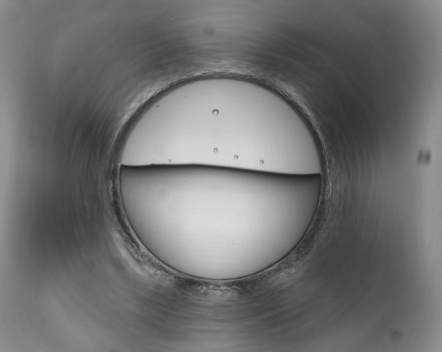 X0000111170443200907011012