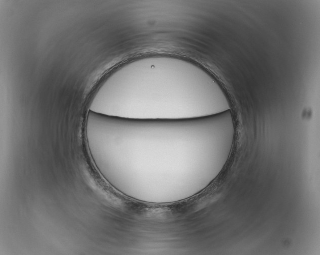 X0000111170446200907011012