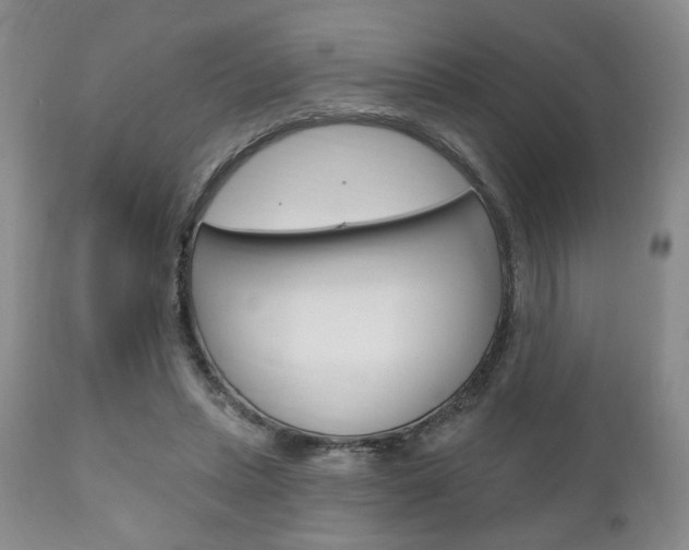 X0000111170447200907011012