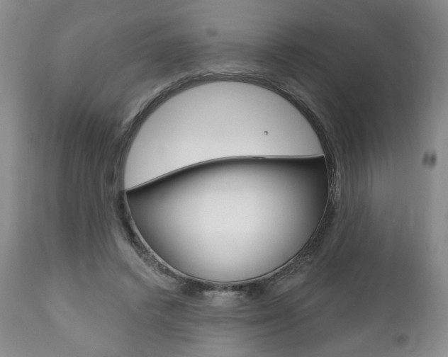 X0000111170448200907011012