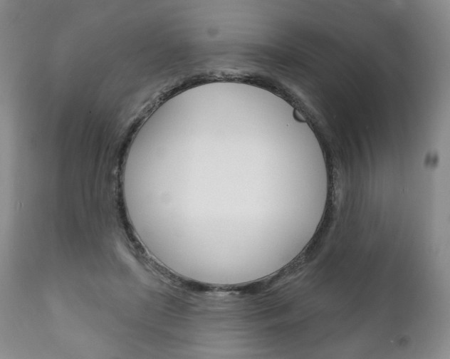 X0000111170451200907011012