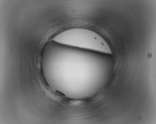 X0000111170452200907011012