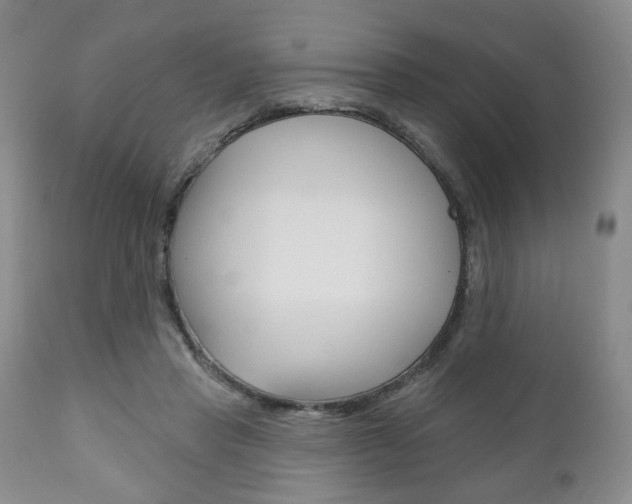 X0000111170453200907011012