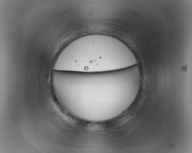 X0000111170454200907011012