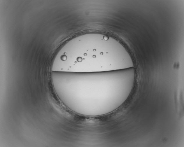 X0000111170455200907011012