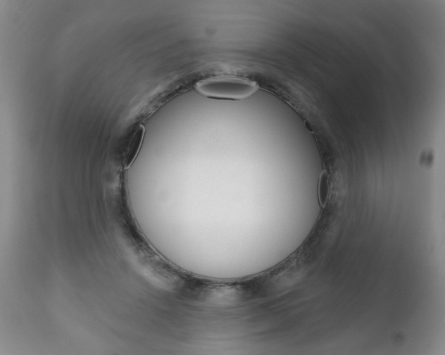 X0000111170456200907011012