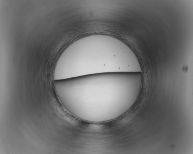 X0000111170457200907011012