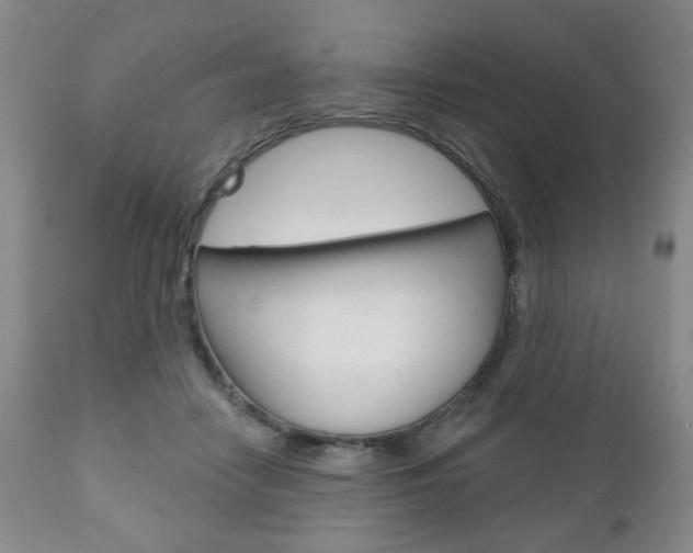 X0000111170458200907011012