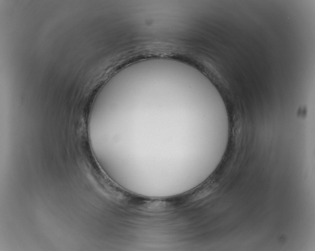 X0000111170459200907011012