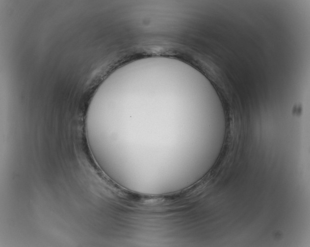 X0000111170461200907011012