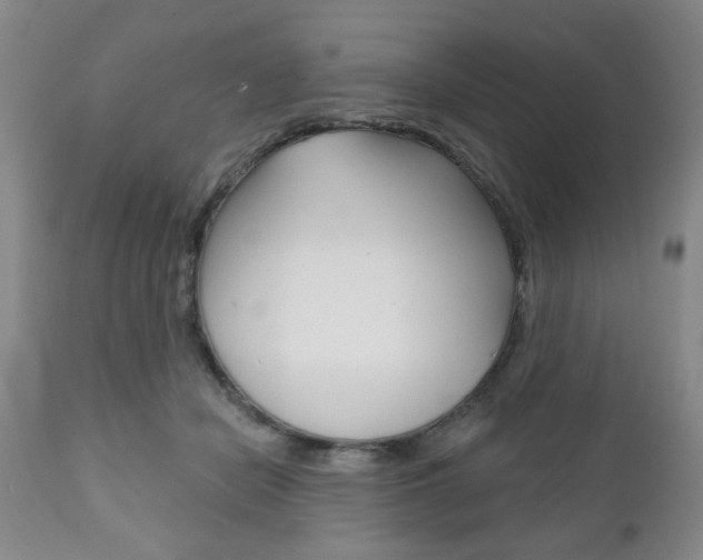 X0000111170462200907011012