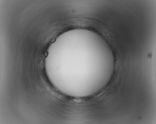 X0000111170464200907011012