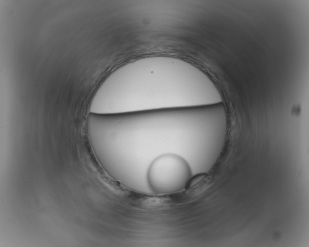 X0000111170465200907011012