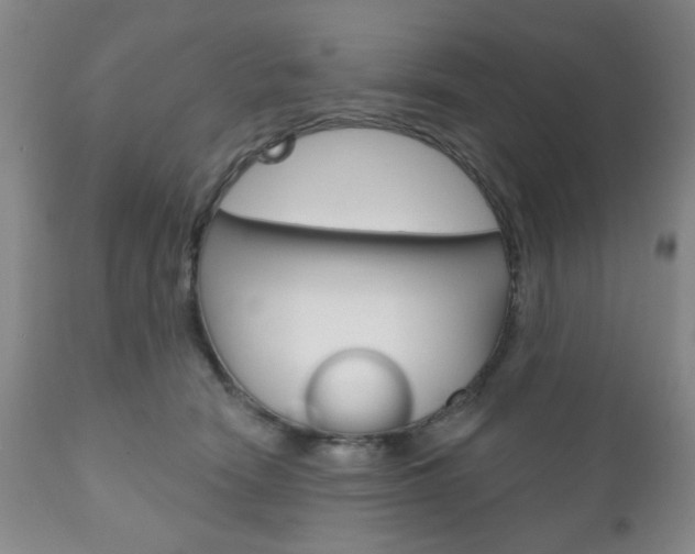 X0000111170466200907011012