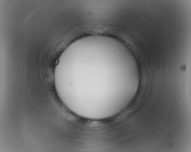 X0000111170467200907011012