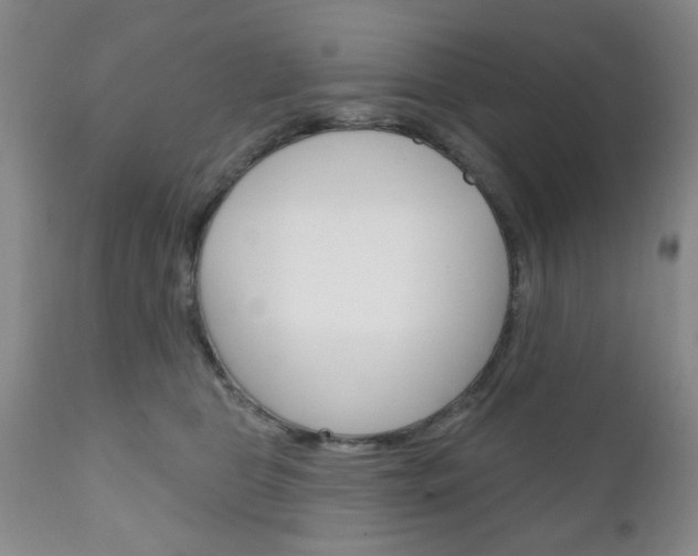 X0000111170469200907011012