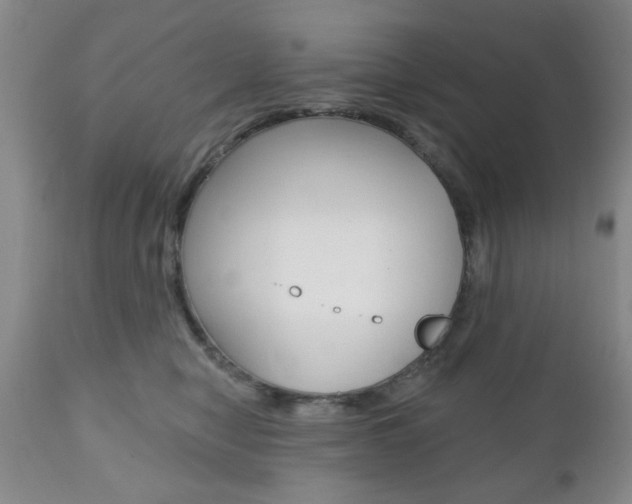 X0000111170470200907011012