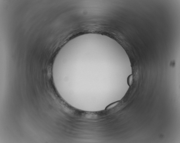 X0000111170471200907011012