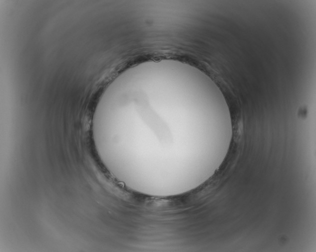 X0000111170472200907011012