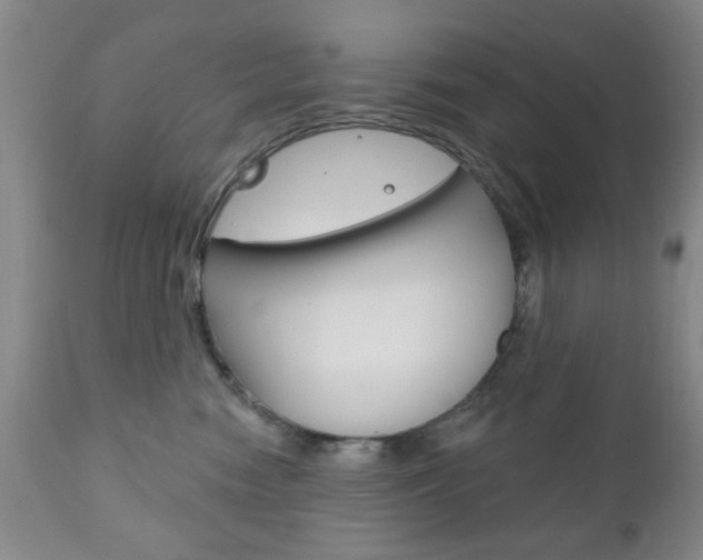 X0000111170474200907011012