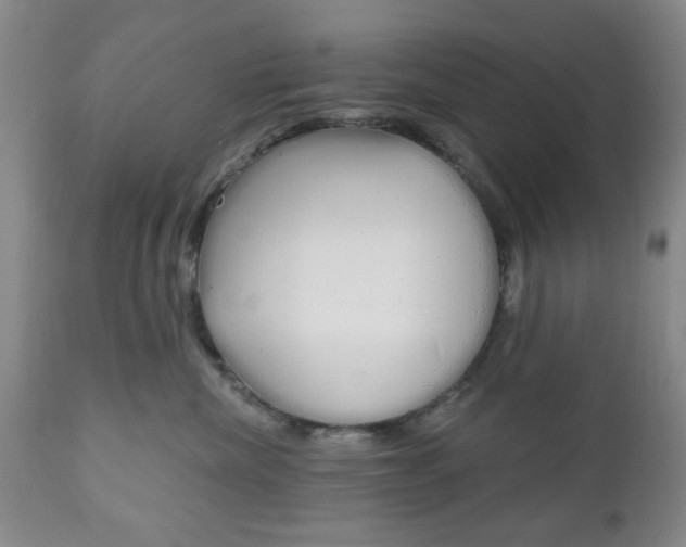 X0000111170476200907011012