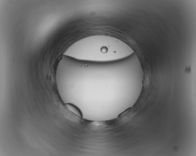 X0000111170477200907011012