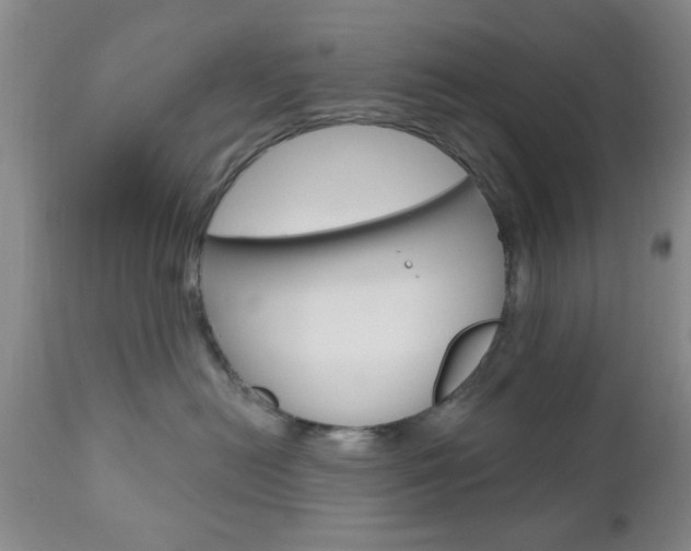 X0000111170478200907011012