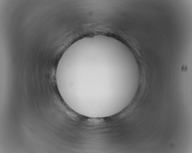 X0000111170480200907011012