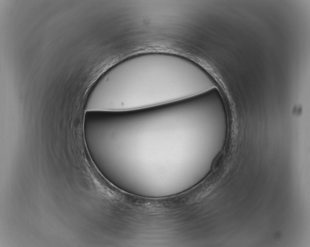 X0000111170481200907011012