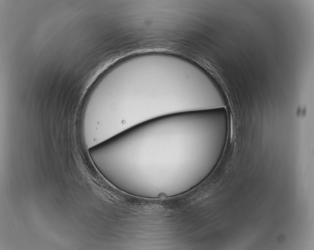 X0000111170483200907011012