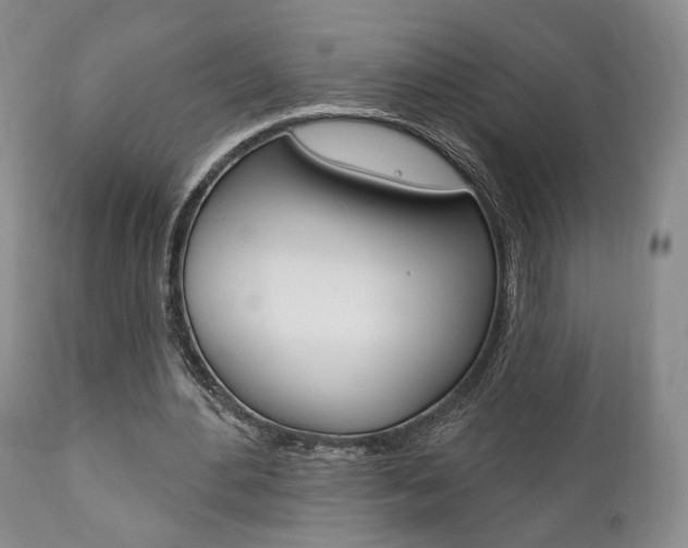 X0000111170484200907011012