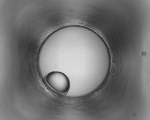 X0000111170485200907011012
