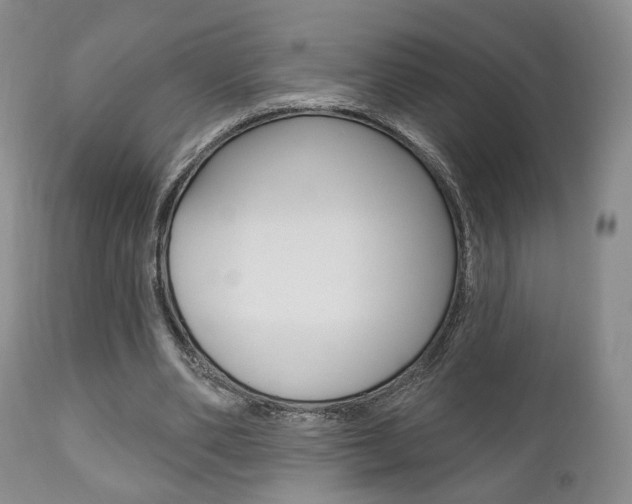X0000111170486200907011012