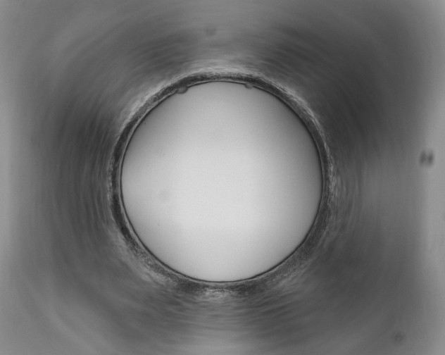 X0000111170487200907011012