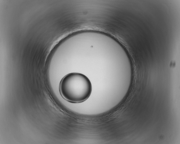 X0000111170488200907011012