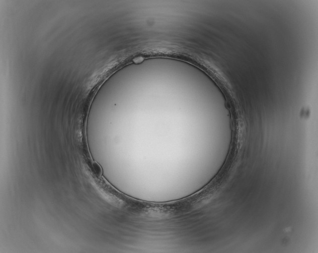 X0000111170489200907011012