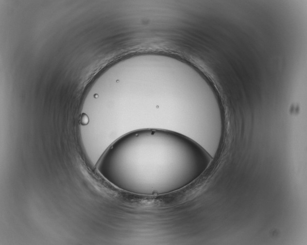 X0000111170493200907011011