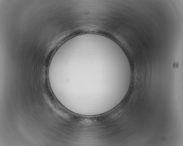 X0000111170494200907011011