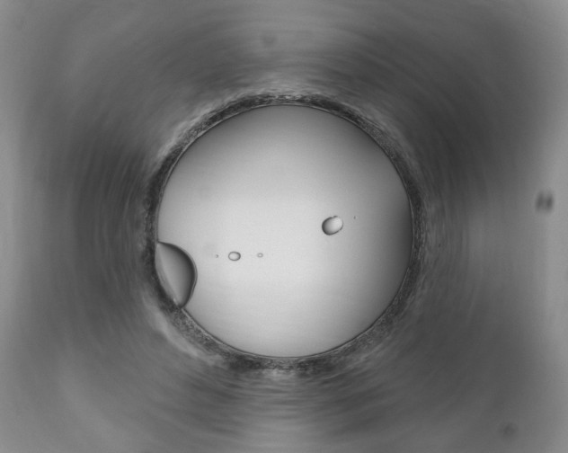 X0000111170496200907011011