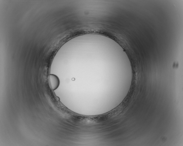 X0000111170498200907011011