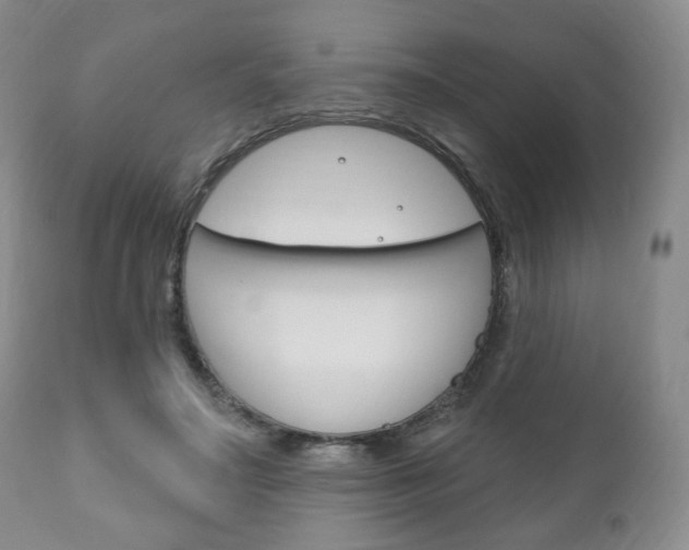 X0000111170499200907011011