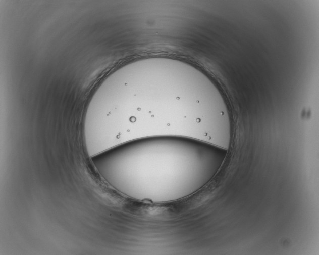 X0000111170501200907011011