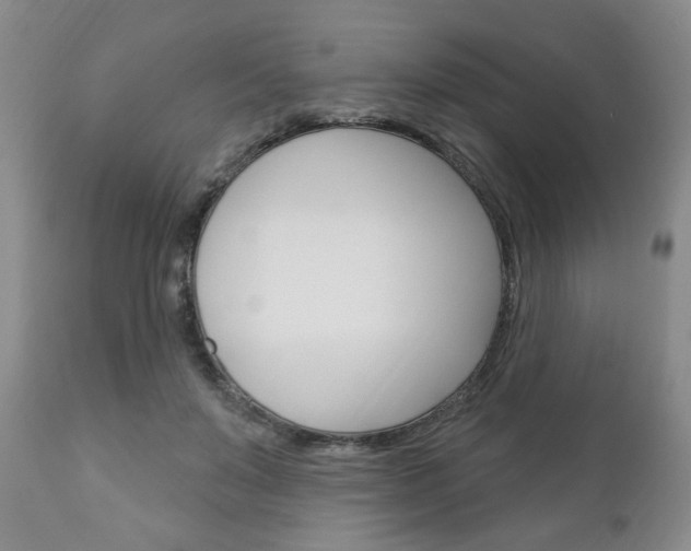 X0000111170503200907011011