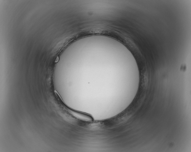 X0000111170505200907011011