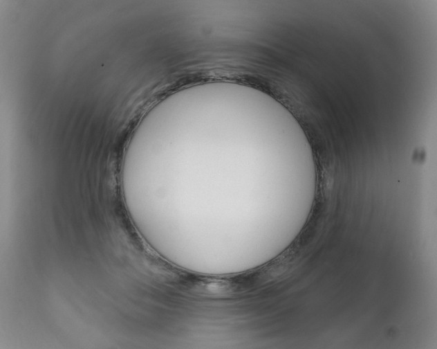 X0000111170506200907011011