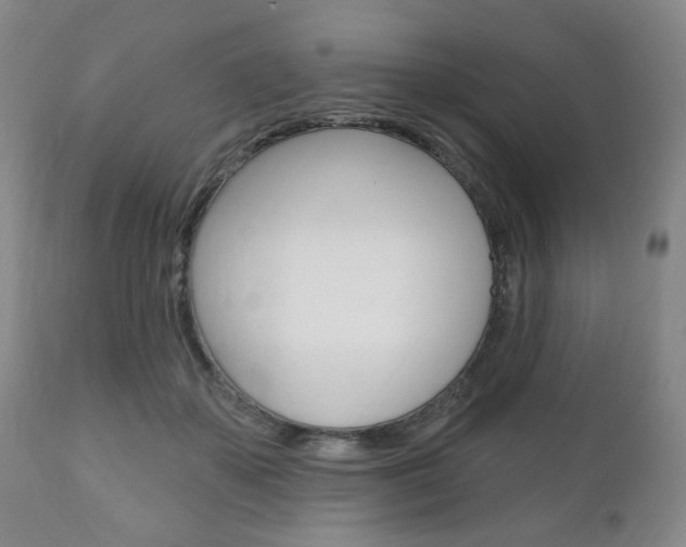 X0000111170507200907011011