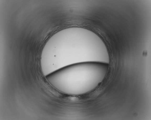 X0000111170509200907011011