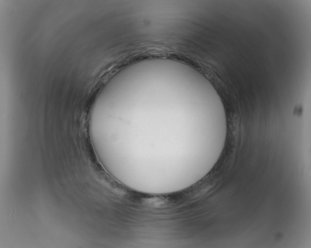 X0000111170511200907011011